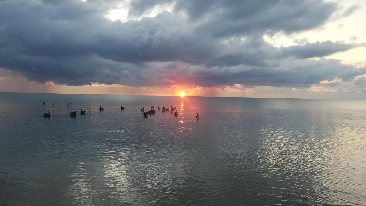 Pal'S On The Beach - Dangriga, Belize Exterior foto